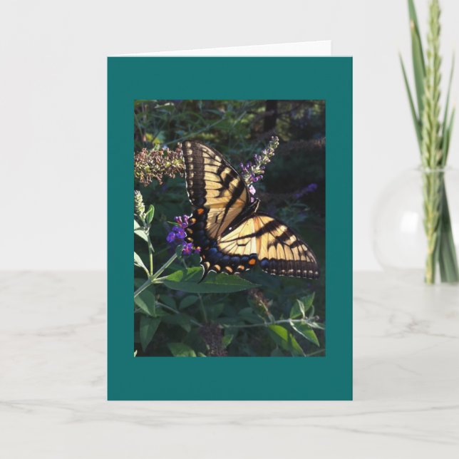 Frack Butterfly Card Karte (Vorderseite)