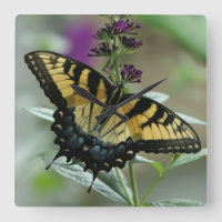 Frack Butterfly Clock