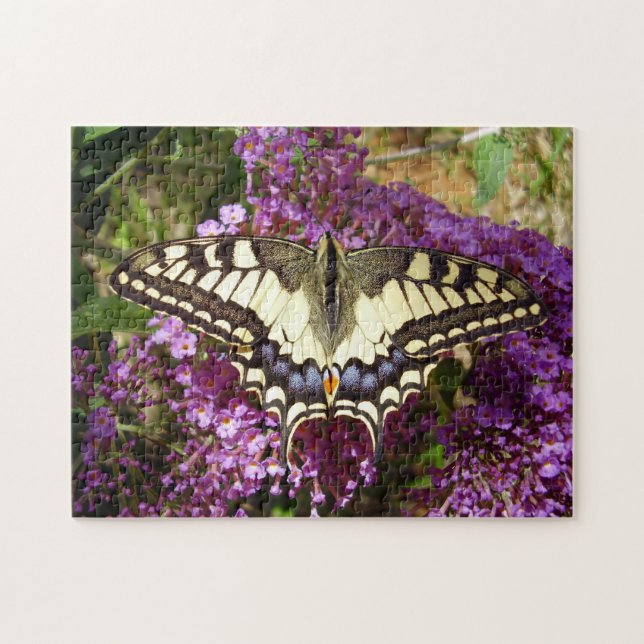 Frack Butterfly Foto Puzzle mit Geschenkboxen (Horizontal)