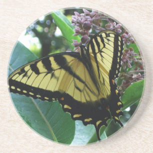 Frack Butterfly I auf Milkweed in Shenandoah Getränkeuntersetzer