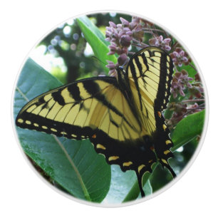 Frack Butterfly I auf Milkweed in Shenandoah Keramikknauf