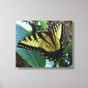 Frack Butterfly I auf Milkweed in Shenandoah Leinwanddruck