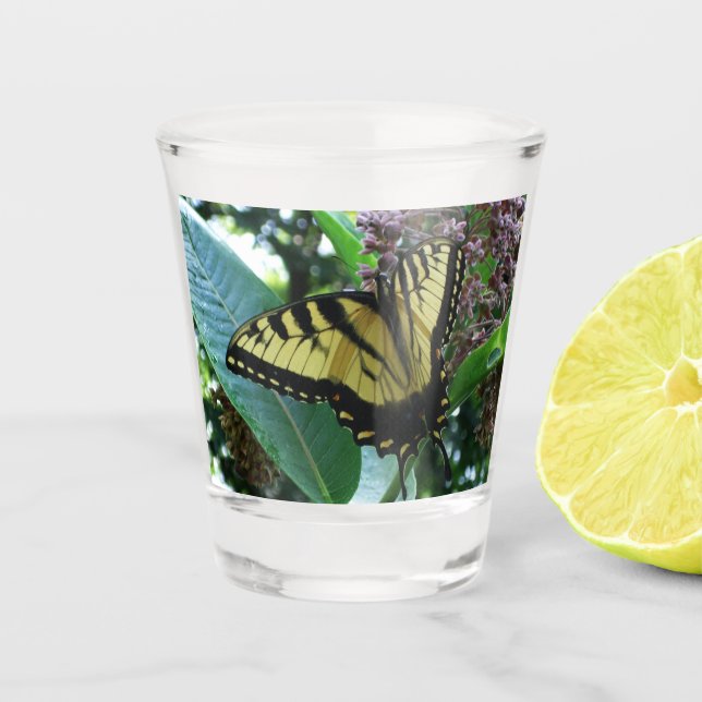 Frack Butterfly I auf Milkweed in Shenandoah Schnapsglas (Vorderseite)