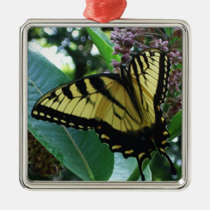 Frack Butterfly I auf Milkweed in Shenandoah Silbernes Ornament