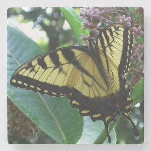 Frack Butterfly I auf Milkweed in Shenandoah Steinuntersetzer