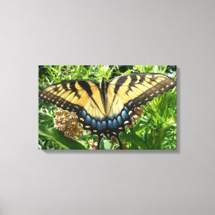 Frack Butterfly II in Shenandoah Leinwanddruck