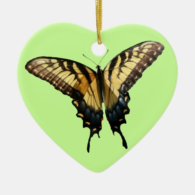 Frack Butterfly III Schönes farbiges Foto Keramikornament (Vorne)
