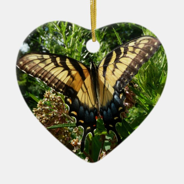 Frack Butterfly III Schönes farbiges Foto Keramikornament (Vorne)