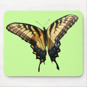 Frack Butterfly III Schönes farbiges Foto Mousepad