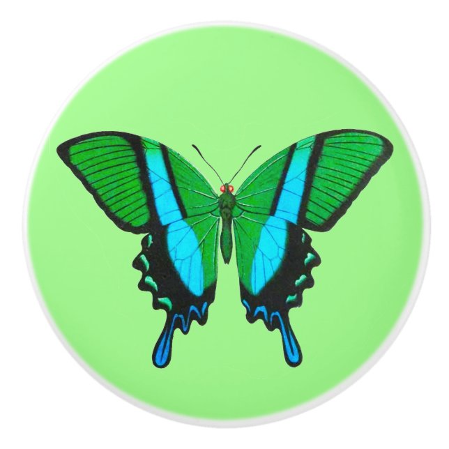 Frack Butterfly in Grün, Türkis und Schwarz Keramikknauf (Vorderseite)