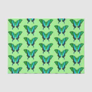 Frack Butterfly in Grün, Türkis und Schwarz Seidenpapier