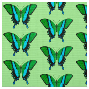 Frack Butterfly in Grün, Türkis und Schwarz Stoff