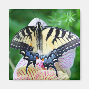 Frack Butterfly Magnet
