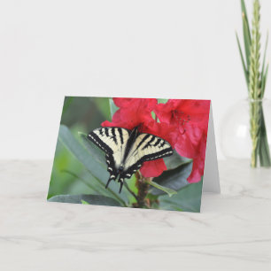 Frack Butterfly mit Wings Open Karte
