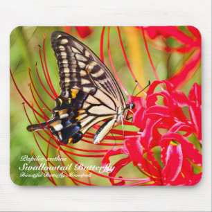 Frack Butterfly Mousepad