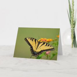 Frack Butterfly Notecard Karte