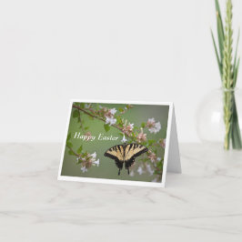 Frack Butterfly Ostergrusskarte Karte