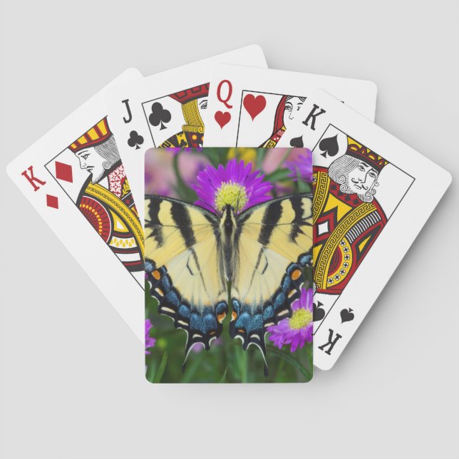 Frack-Schmetterling auf Gänseblümchen Spielkarten (Rückseite)