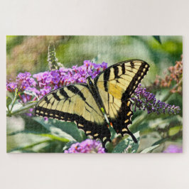 Frack-Schmetterling-Flügel