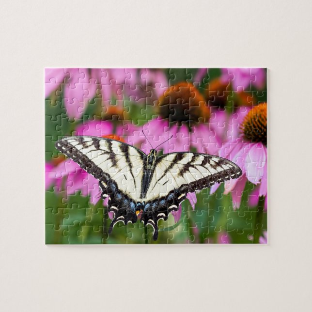 Frack-Schmetterling im Ostteil (Horizontal)