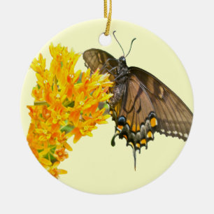 Frack-Schmetterling (Papilio glaucas) Keramikornament