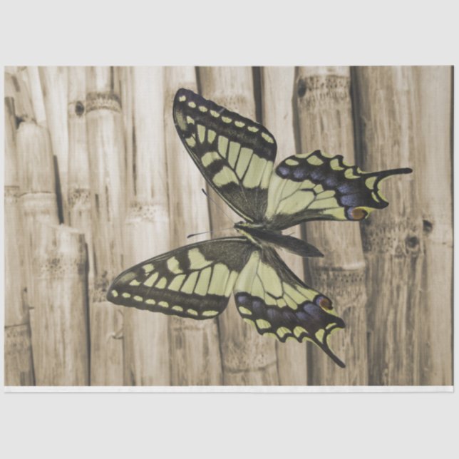 Frack-Schmetterling Seidenpapier (Vorderseite)