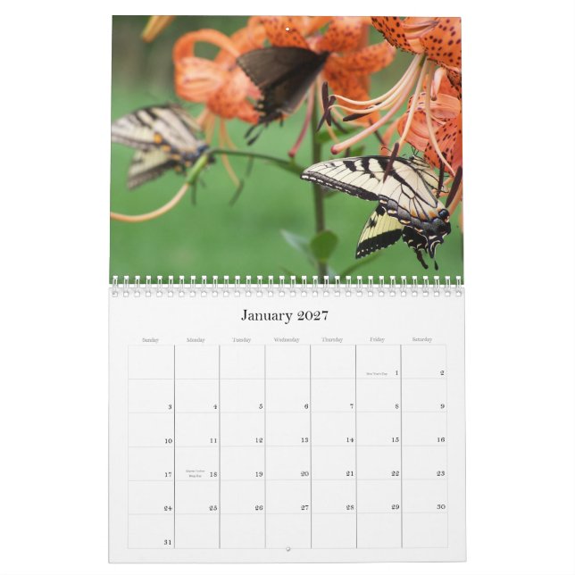 Frack-Schmetterlinge, Kalender 2009 (Jan 2027)
