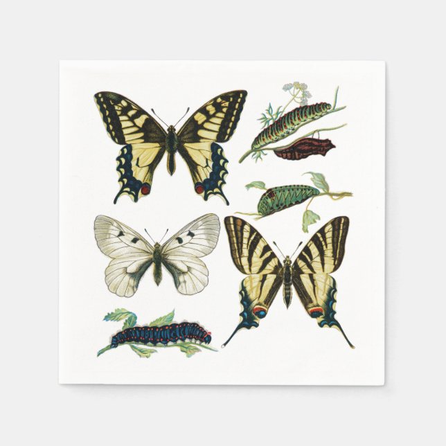 Frack Schmetterlinge, Raupen und Moth Serviette (Vorderseite)