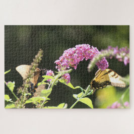 Frack Schmetterlinge Schwarz und Gelb