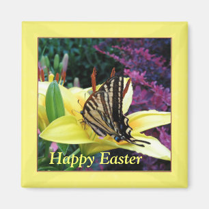 Frack-Schmetterlings-Ostern-Magnet Magnet