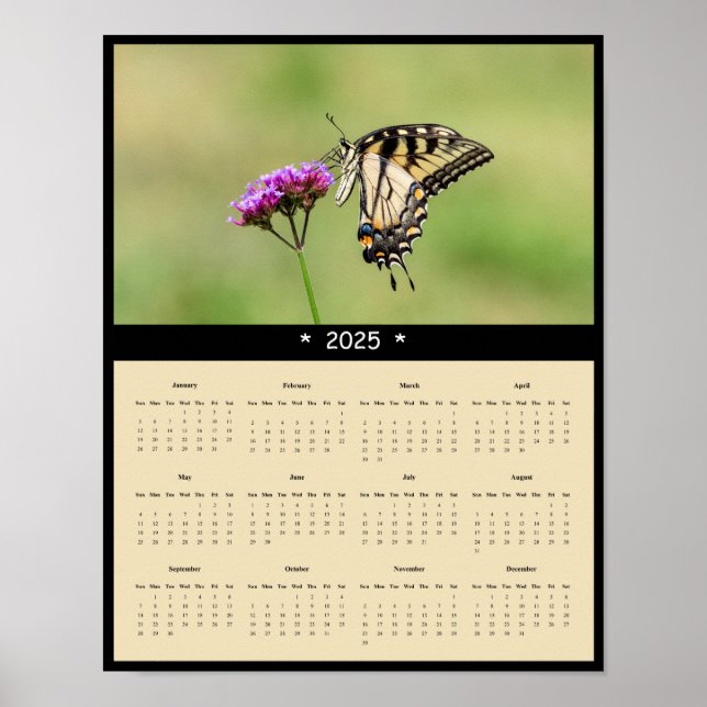 Frack-Schmetterlingskalender 2025 Poster (Vorne)