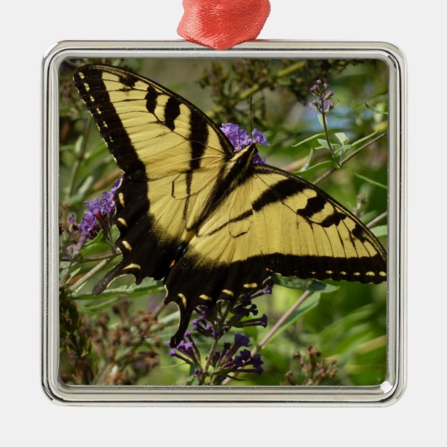 Frack über Butterfly Bush Silbernes Ornament (Vorne)