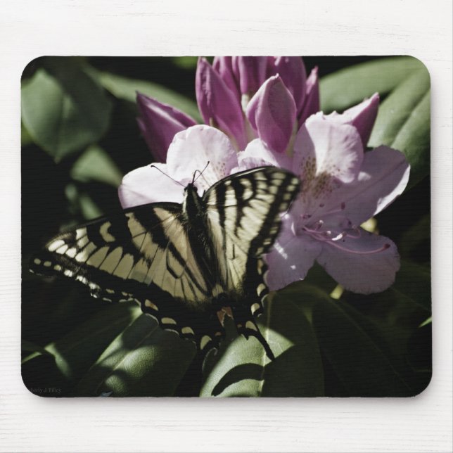 Frack und Rhododendron Mousepad (Vorne)