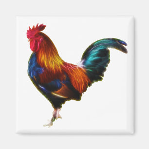 Fractalius Leghorn-Hahn Magnet