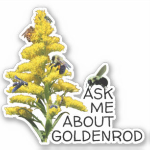 Frag mir über Goldenrod und Bestäuber Aufkleber