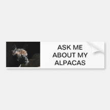 FRAG MIR ÜBER MEINE ALPACAS