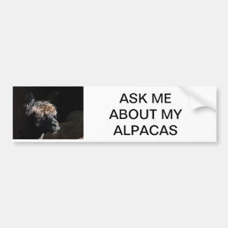 FRAG MIR ÜBER MEINE ALPACAS AUTOAUFKLEBER