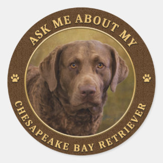 Frag mir über meine Aufkleber von Chesapeake Bay R