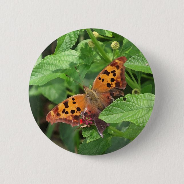 Frage Mark Butterfly über Lantana Button (Vorderseite)
