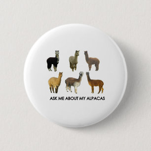 Fragen Sie mich über meine Alpakas Button