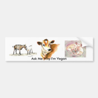 Fragen Sie mich, warum ich veganer Autoaufkleber