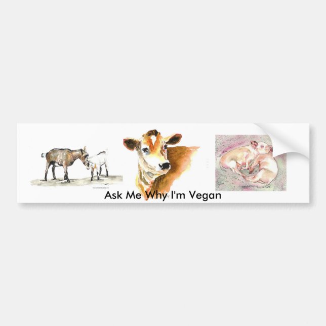 Fragen Sie mich, warum ich veganer Autoaufkleber (Vorne)