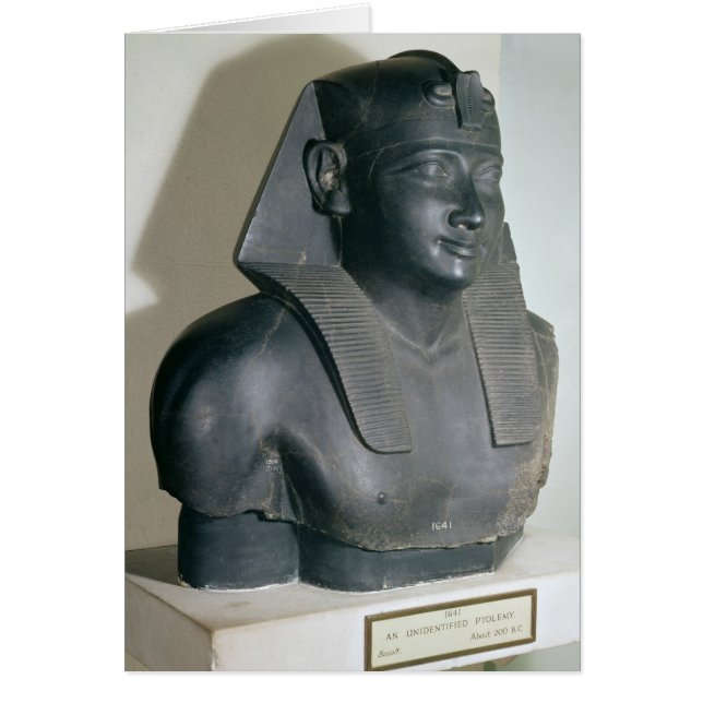 Fragment einer ägyptischen Artstatue von Ptolemäus (Vorne)