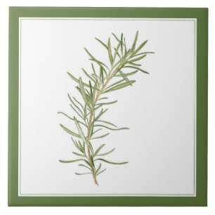 FRAÎCHEMENT ROSEMAIRE 6x6 Carreaux en céramique (-