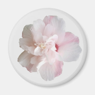 Fraise rose Smoothie Althea Magnet