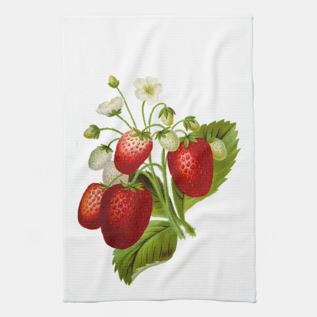 Fraises avec serviette de cuisine Feuille verte (Vertical)