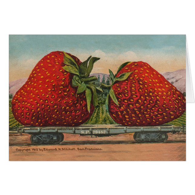 Fraises Giant Fruit Antique Fruit Amusant (Devant horizontal)