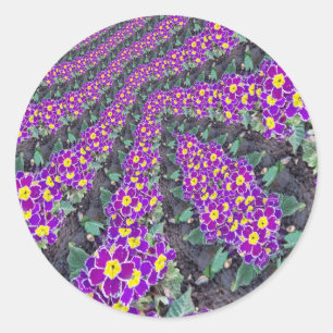 Fraktal-Blume Runder Aufkleber