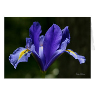 Frameable Kunst-Karte