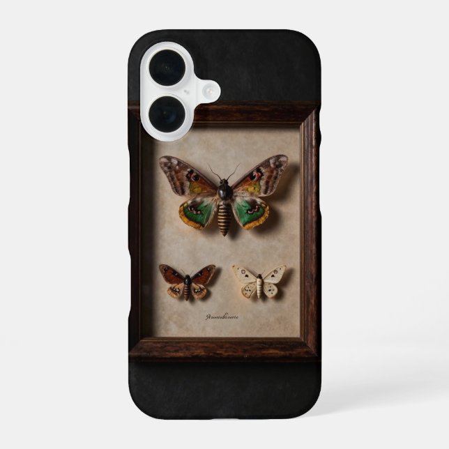 Framed Moth Specimen Dark Academia Case iPhone 16 Hülle (Rückseite)